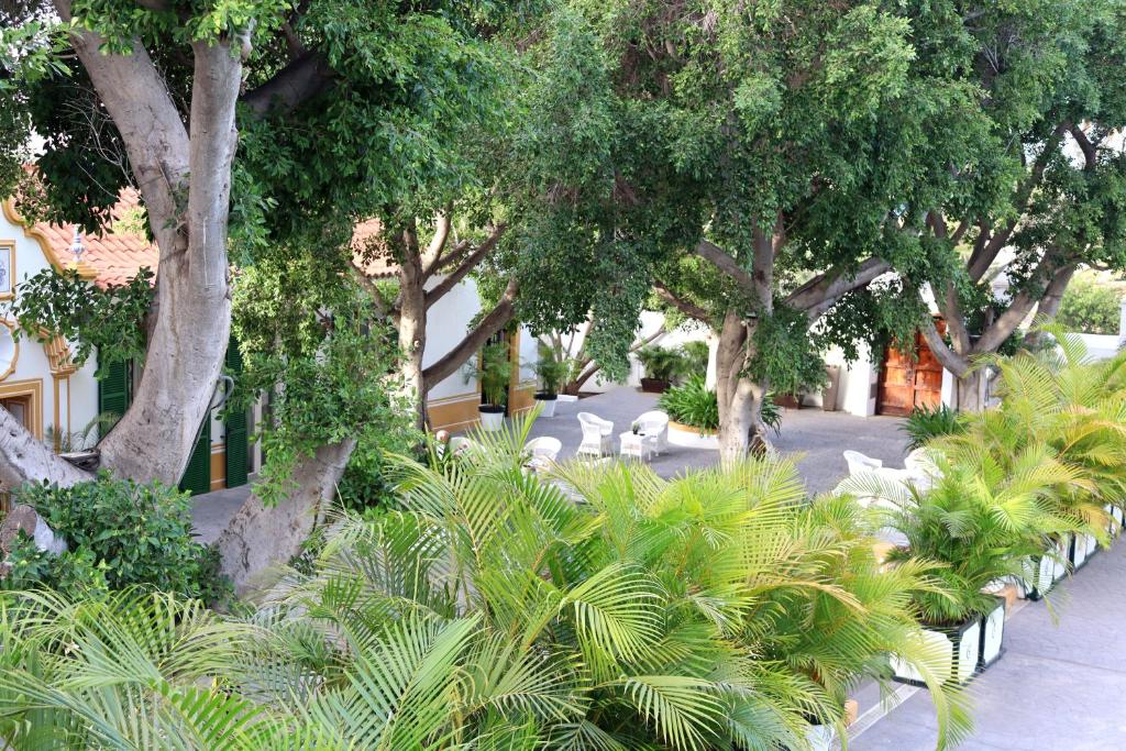 Ogród w obiekcie Cortijo San Ignacio