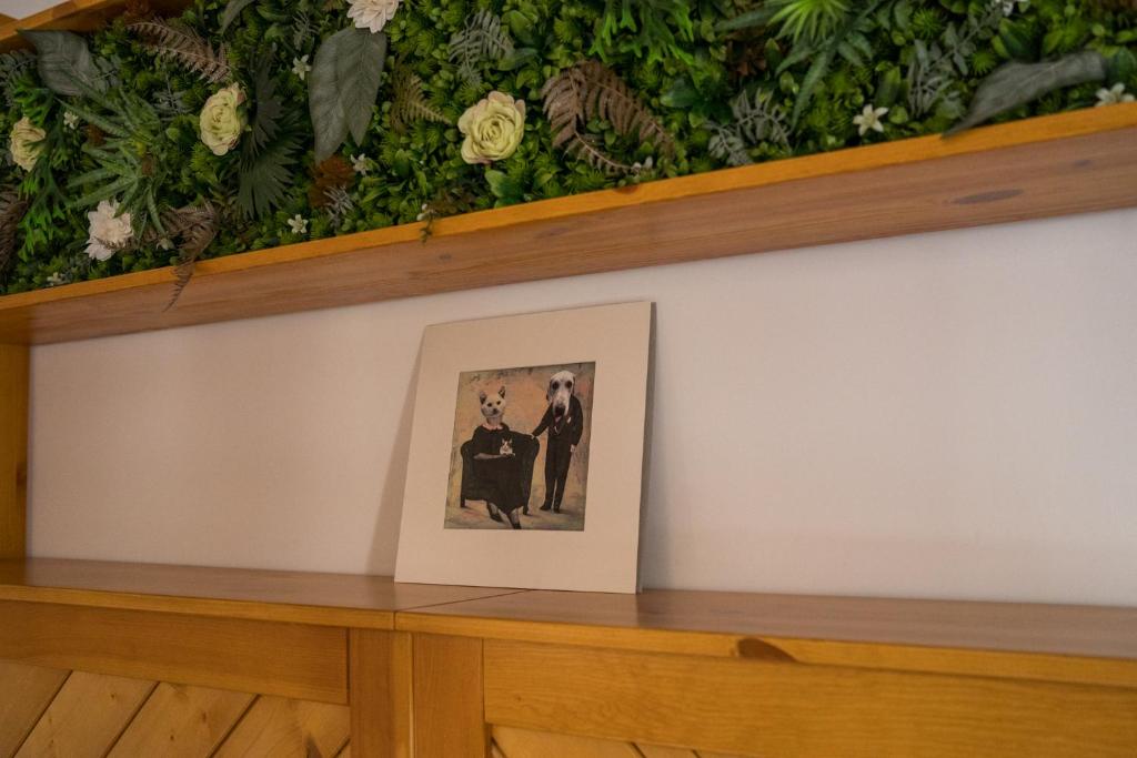 Fotografie z fotogalerie ubytování Csipesz_Vendégház v destinaci Sümeg