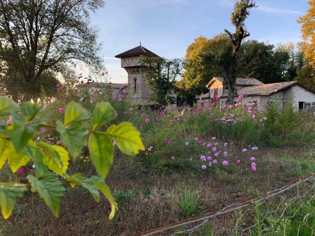 une vieille maison avec un champ de fleurs dans l'établissement La Dépendance de Bazin, à Marmande