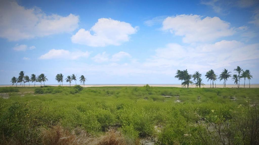 A&Y Wild Camp Ghana - Bungalow Con Vista Al Mar