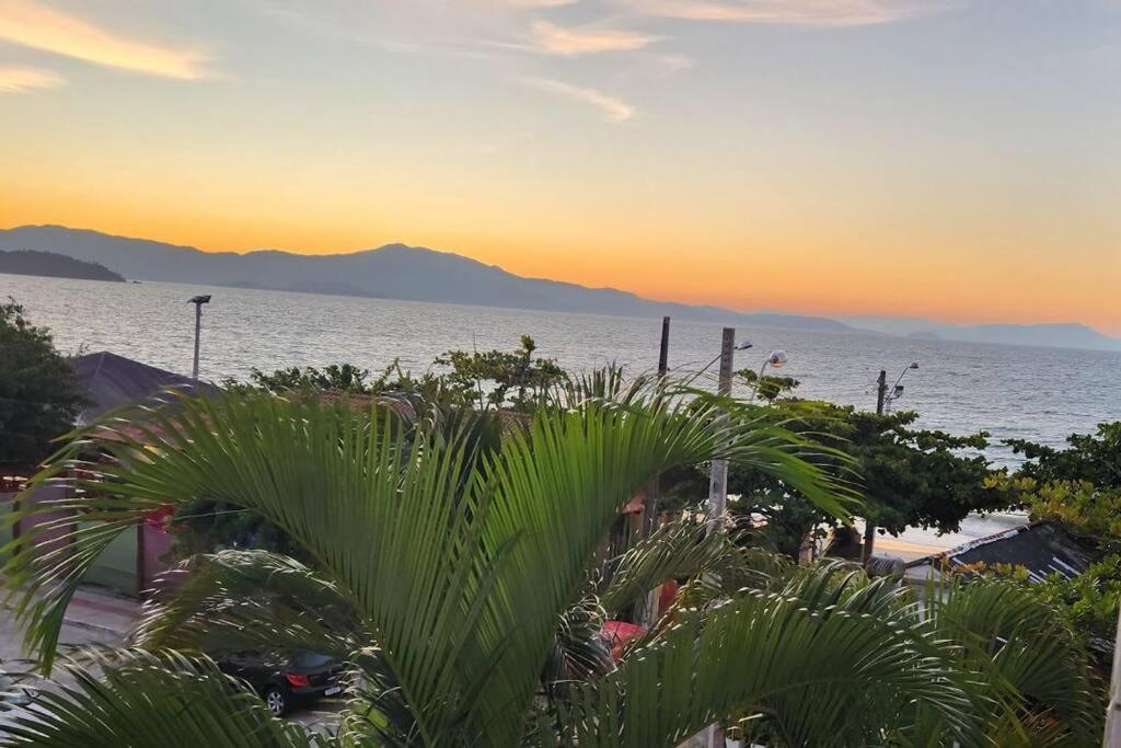 een uitzicht op de oceaan met een palmboom bij Apartamento pe na areia e com vista linda in Florianópolis