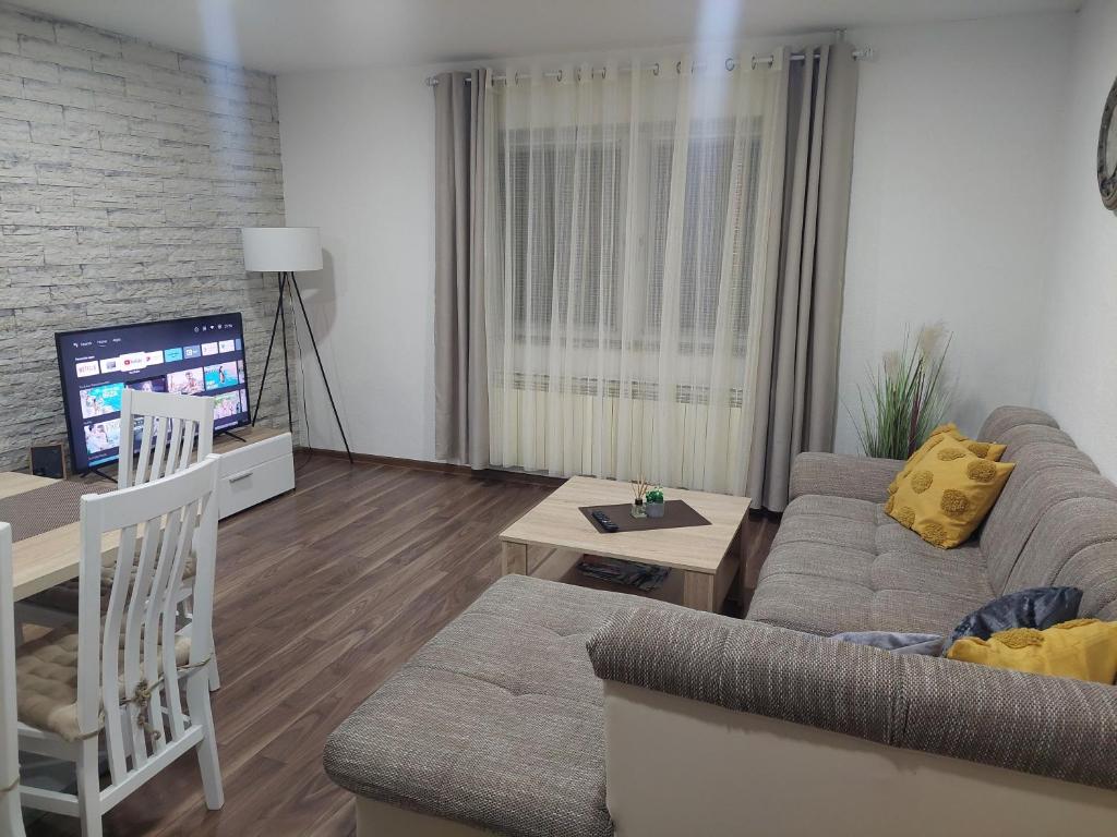 TV a/nebo společenská místnost v ubytování Apartman Danijela