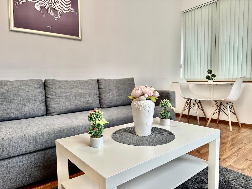 Shushi’s 1 bedroom Central apartment - Housity