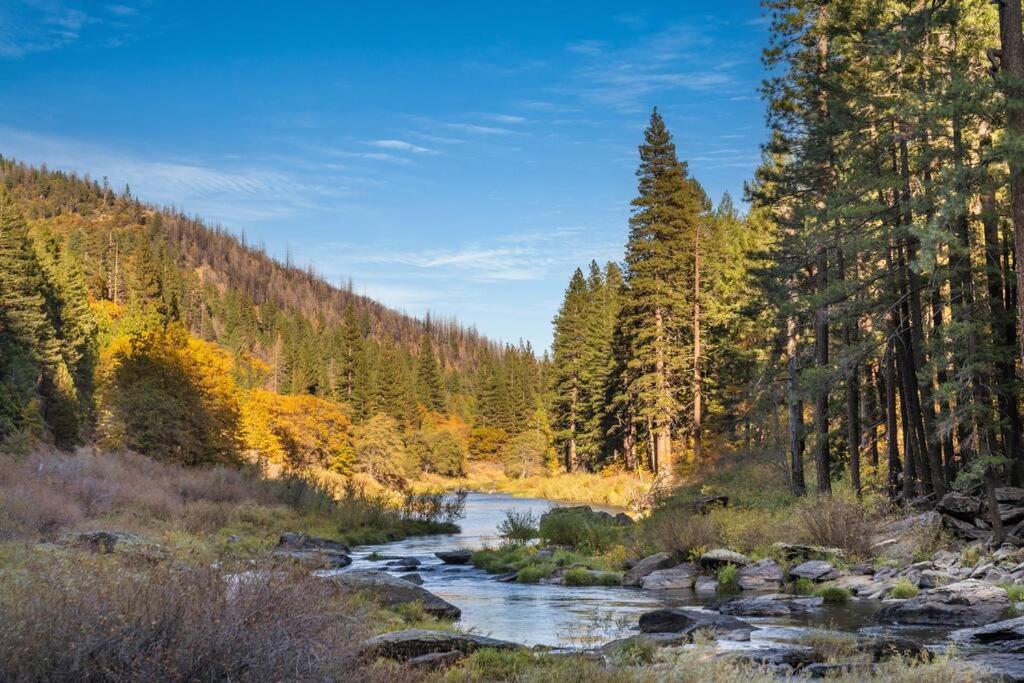 a river in the middle of a forest at Escape to the Cabin, in Plumas National Forest 