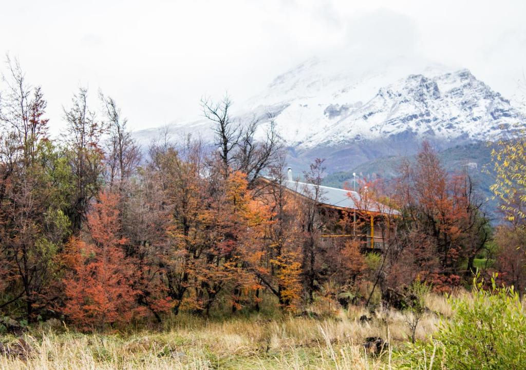 Loodusmaastik puhkemajakeste lähedal
