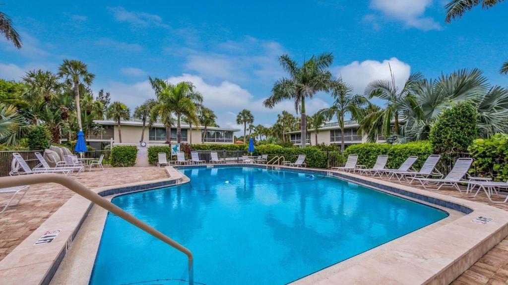 a swimming pool with chairs and palm trees at West Bay Cove 218 condo in Holmes Beach