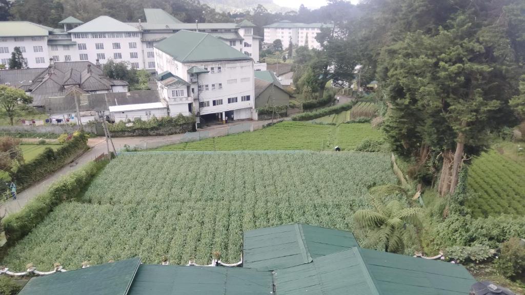 Zahrada ubytování Nuwara eliya Luxury Apartment