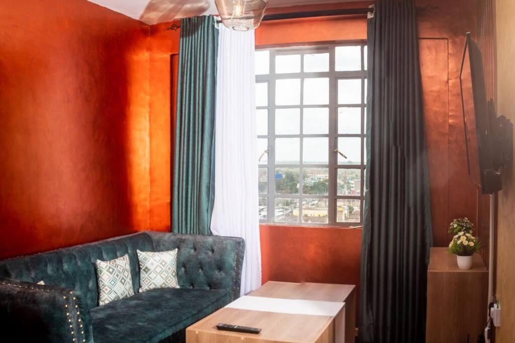 ナイロビにあるLeleshwa luxury Apartmentsのリビングルーム(ソファ、窓付)