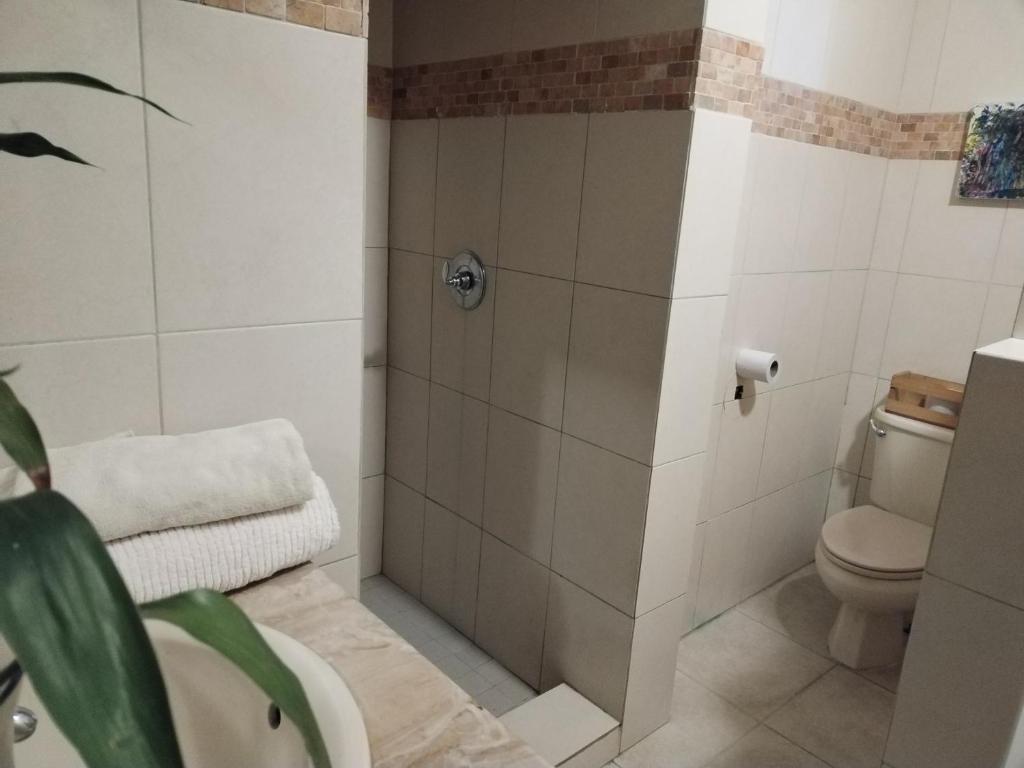 a bathroom with a toilet and a shower at Campestre House in Alto Boquete