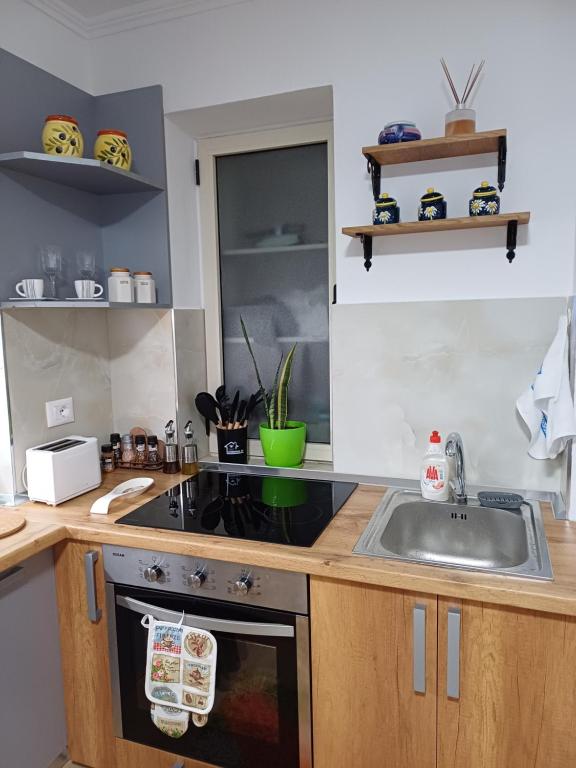 Kuchyň nebo kuchyňský kout v ubytování Regis Apartment