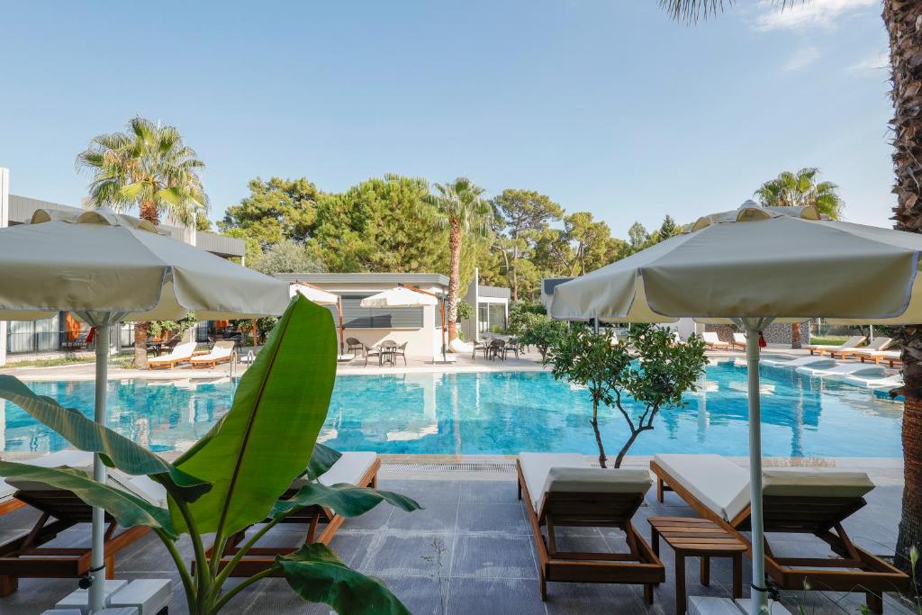 Bazén v ubytování Forest In Hotel nebo v jeho okolí