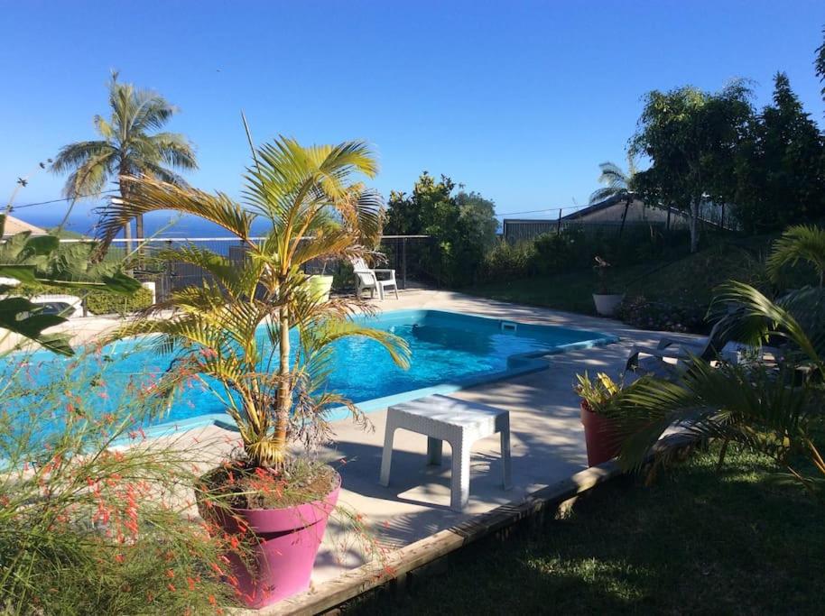 a swimming pool with a bench and palm trees in a yard at Case Géranium 2* piscine chauffée in Saint-Joseph