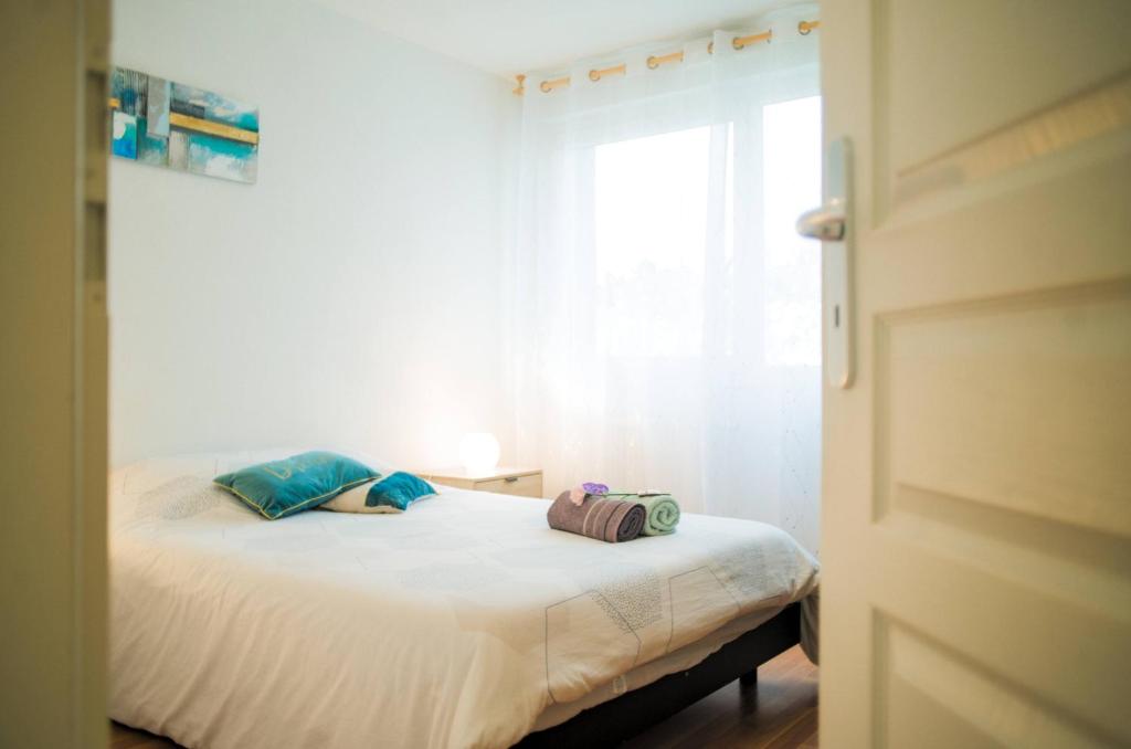 Appartement lumineux - 2 à 6 pers - Idéal séjour Vosges, Alsace - Vélo & randonnée – photo 10