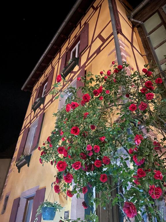 Une bande de roses rouges suspendues du côté d'un bâtiment dans l'établissement La Chambre des Trois Églises, à Riquewihr