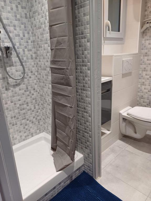 Koupelna v ubytování Appartement double