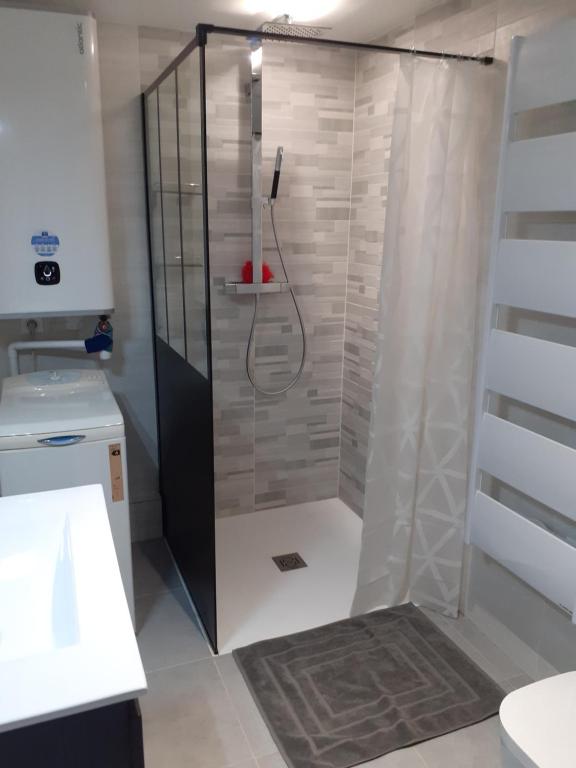 Koupelna v ubytování Appartement double