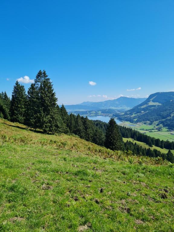uma colina relvada com árvores e um lago à distância em Ferienwohnung Sonnenblume mit Hallenbad und Sauna em Missen-Wilhams