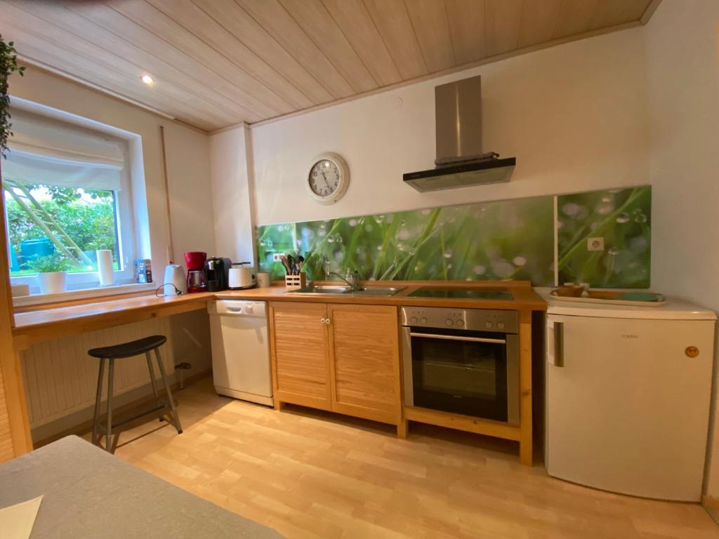 Kuchyň nebo kuchyňský kout v ubytování Ferienwohnung Sattler