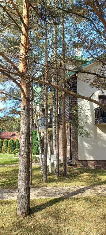 Zahrada ubytování Divčibare Snežna Kraljica ap 13