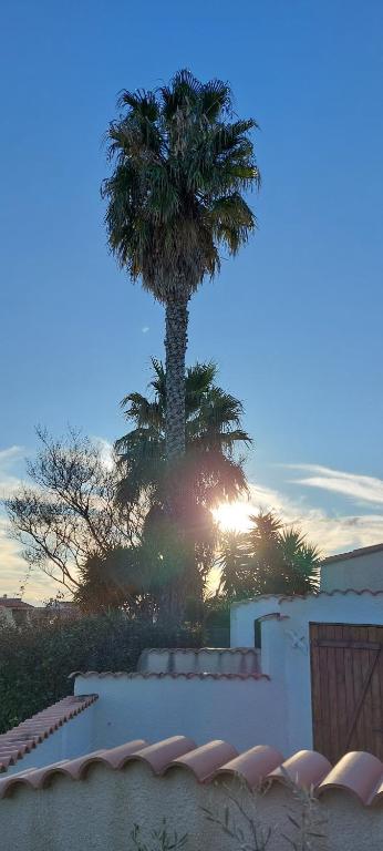 un palmier devant une maison avec une clôture dans l'établissement Agréable petite maison 2 chambres, de 48m2 sans vis-à-vis et parking privatif, au Cap d'Agde
