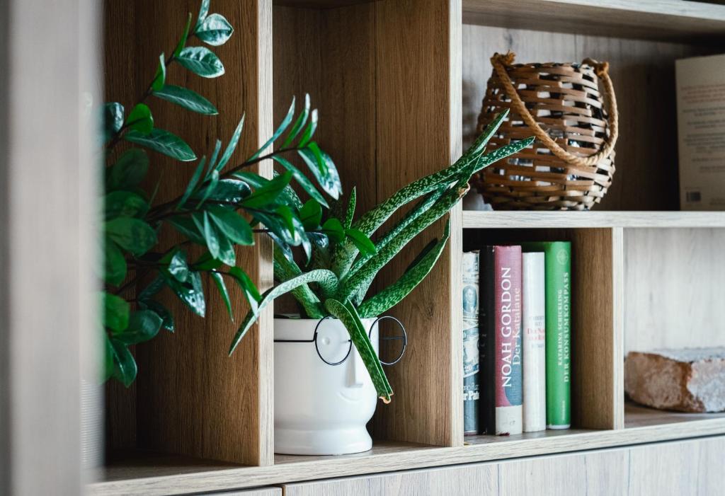 Levy's Rooms & Breakfast - Resim 26