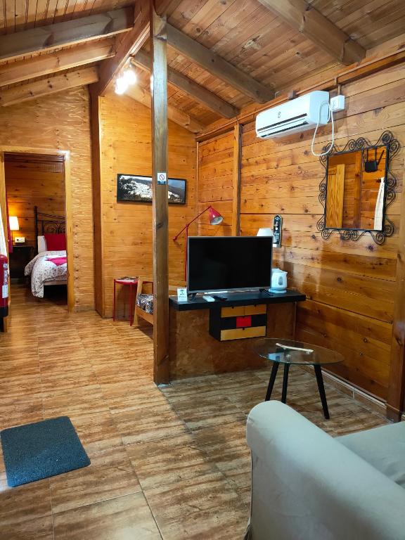 Televízia a/alebo spoločenská miestnosť v ubytovaní El Paraje del Chef