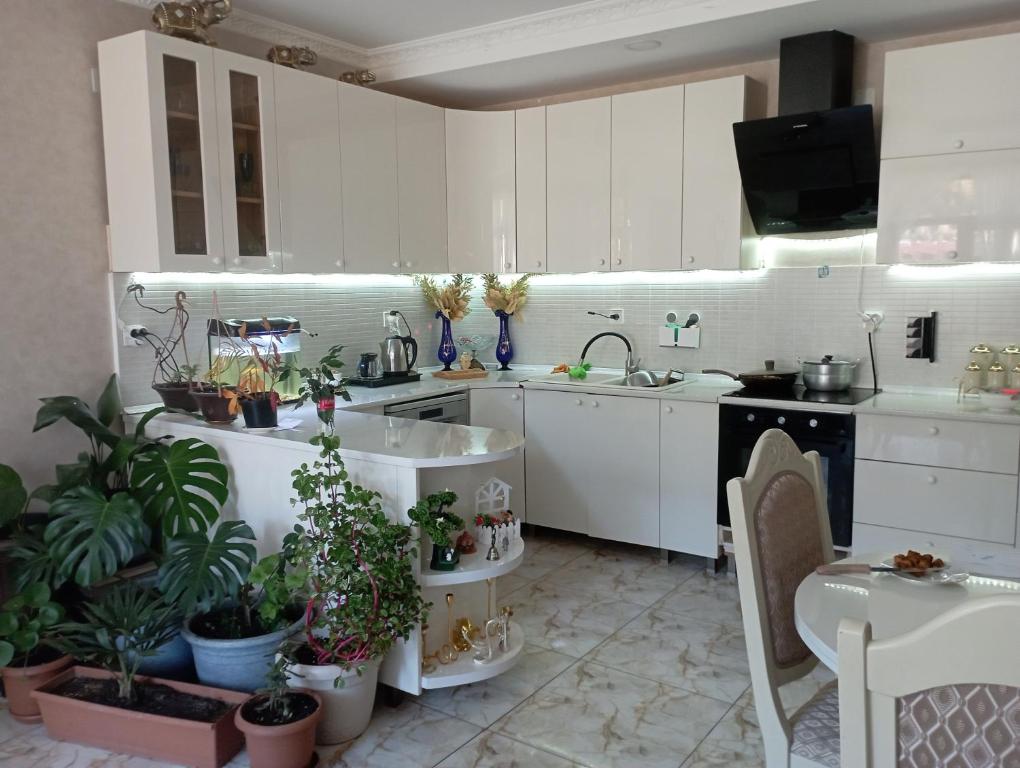Kuchyň nebo kuchyňský kout v ubytování Hotel Marliza