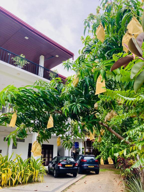 Zahrada ubytování Hotel Siyathma polonnaruwa