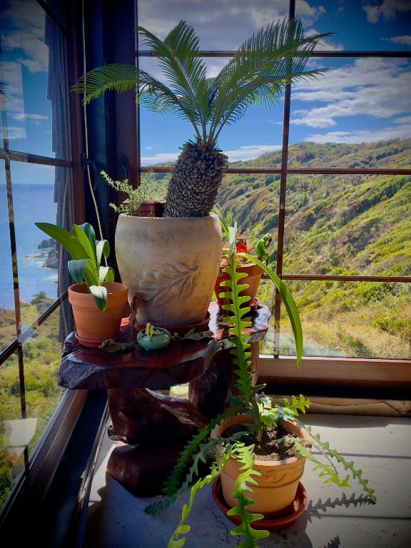 Paisaje cerca de esta habitación en casa particular