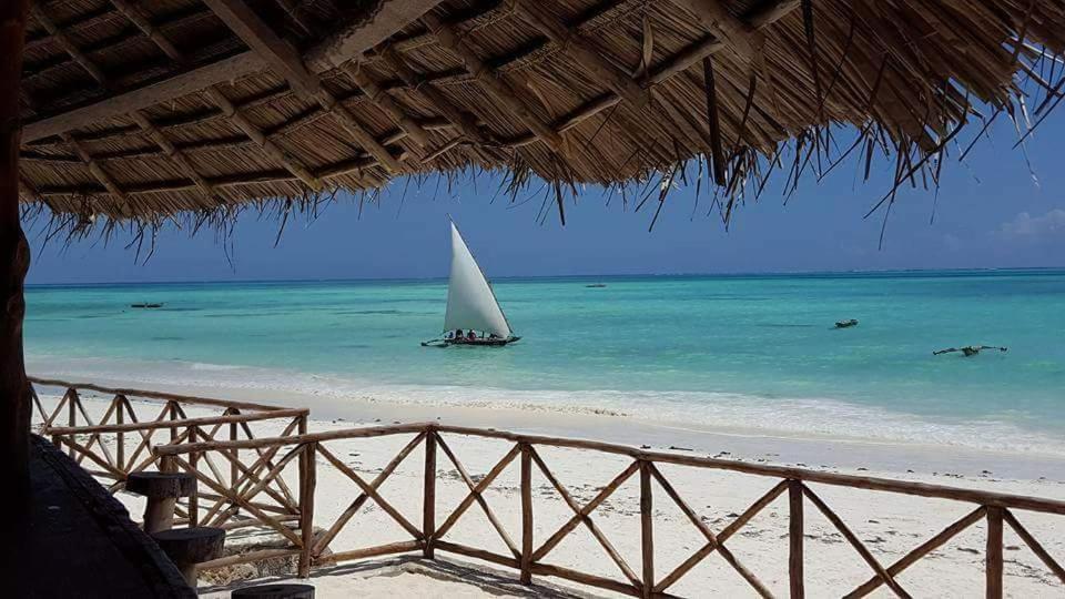 a sail boat in the water on a beach at Jerrys in Jambiani