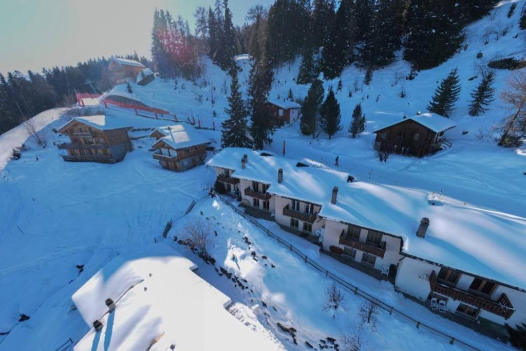 Chalet Cactus - 4 Vallées talvel
