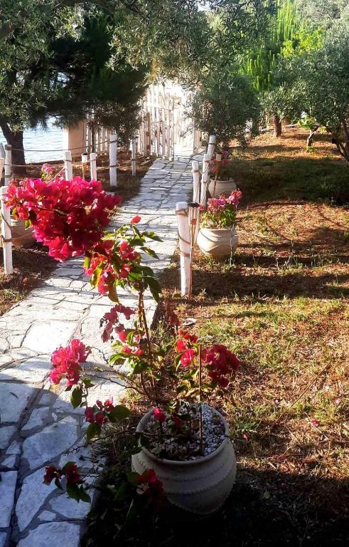 Zahrada ubytování Beach House Onar