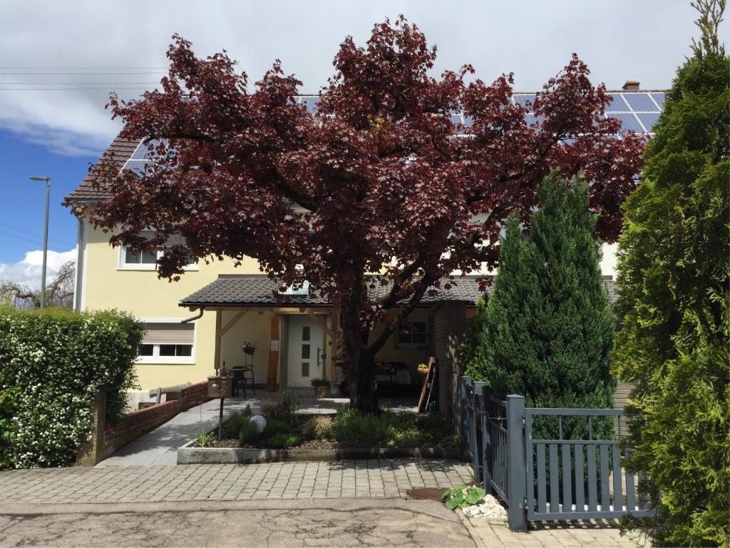 un árbol frente a una casa con una valla en Apartmentvermietung Ingrid Bolkart - Kirchblick 1, en Illertissen