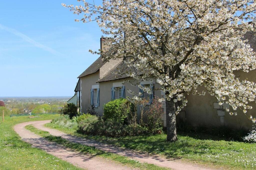 un árbol frente a una casa con un camino de tierra en Gîte de la Madeleine 3*, proche de la Loire, en Gennes