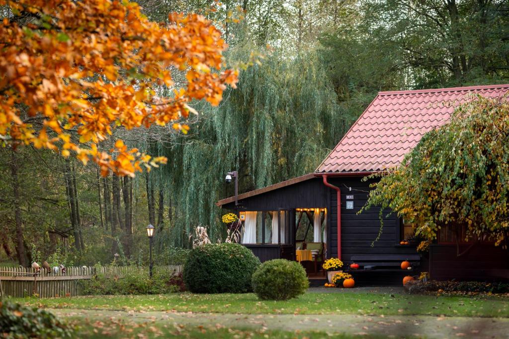 a small cabin with a red roof in the woods at Zacisze nad Sanną 