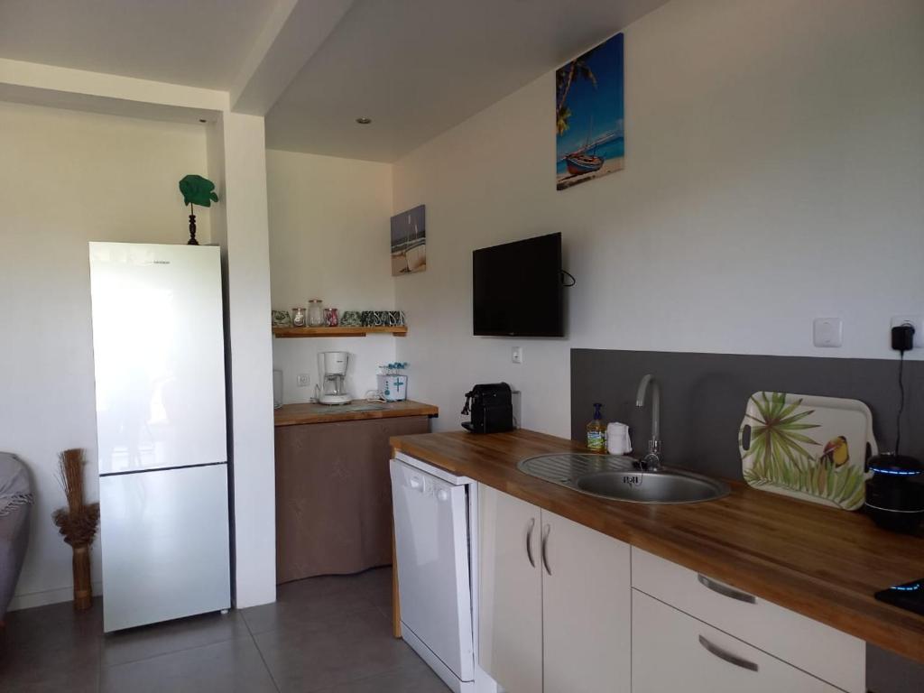 A cozinha ou cozinha compacta de Le Tropical appartement 1 ou 2 chambres