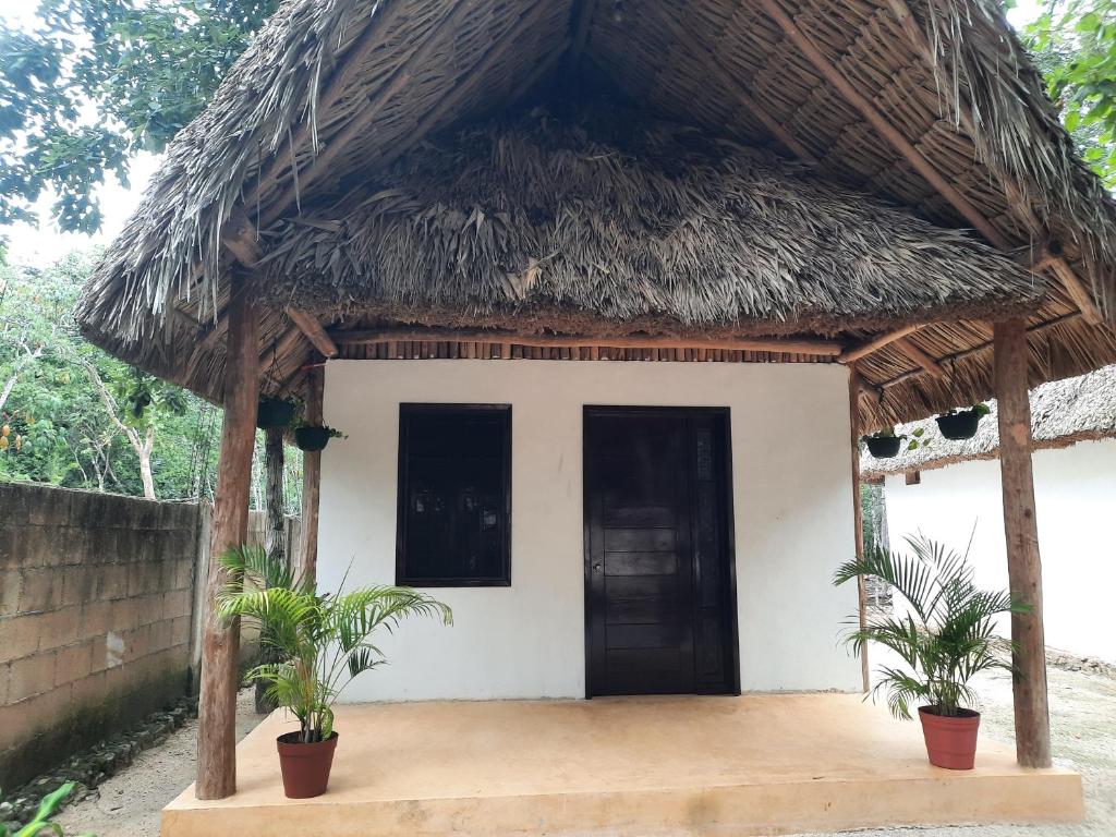 a small house with a thatched roof at Hotel Cabañas Maalokin in Cobá