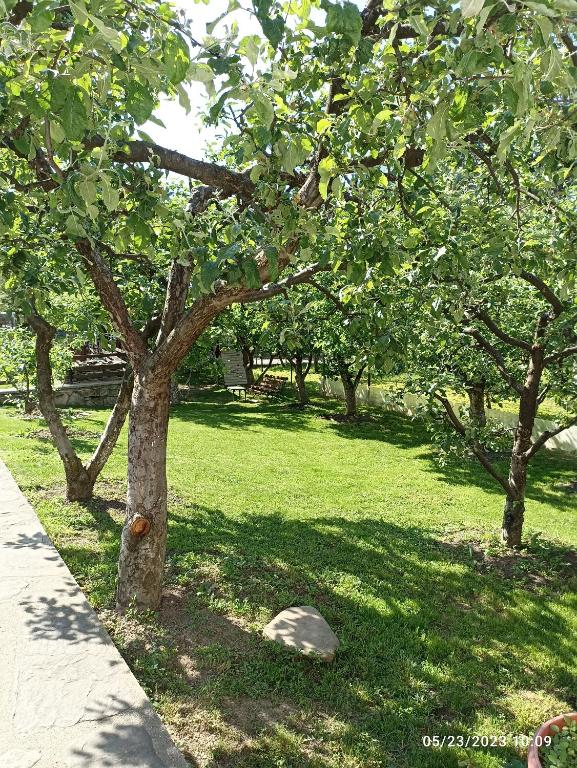 Zahrada ubytování Vila Slanic