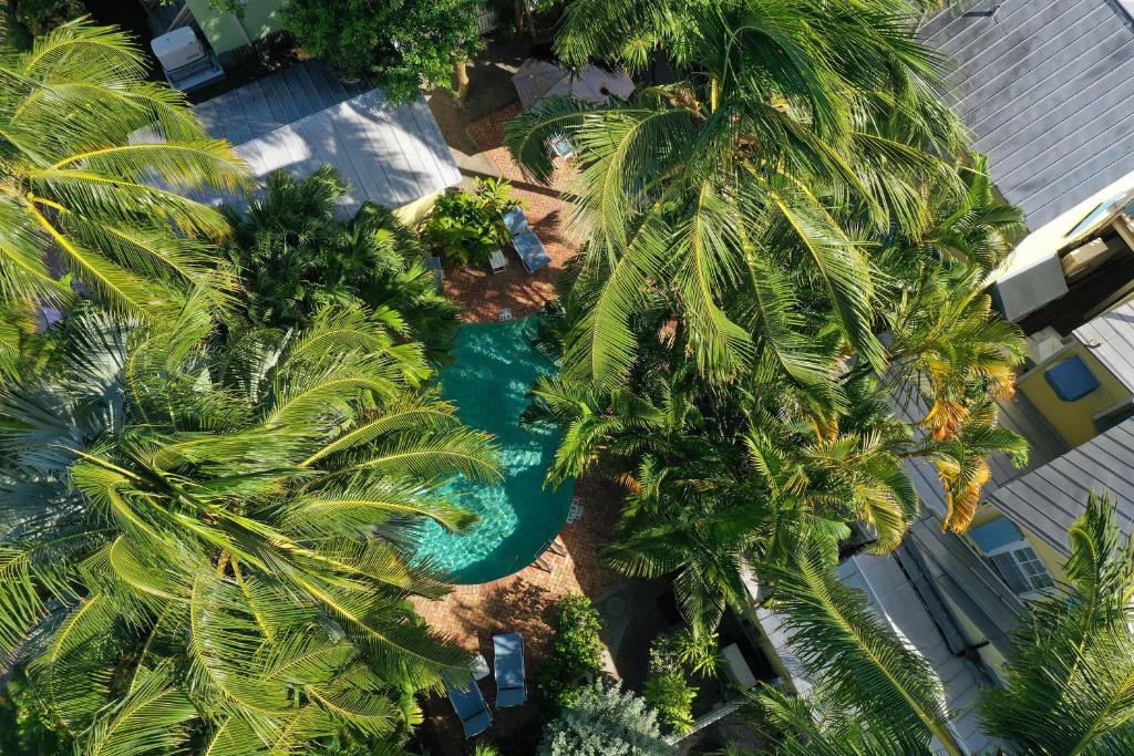 an aerial view of a pool with palm trees at Tranquillity Guest House in Key West