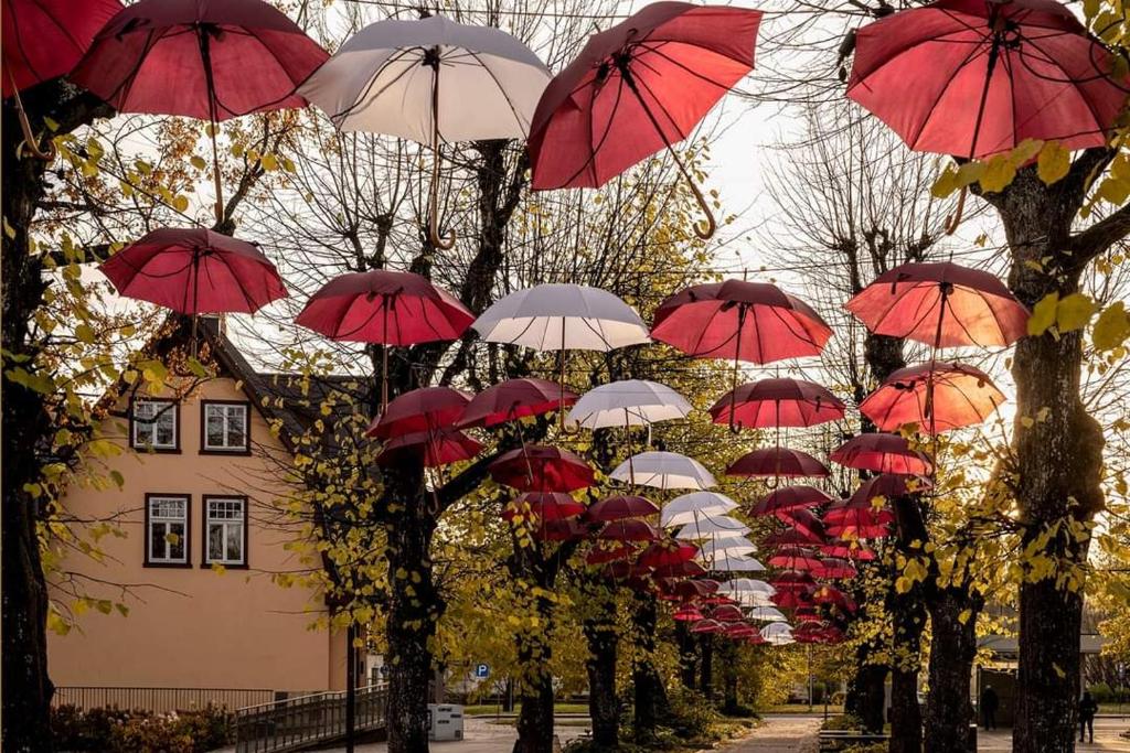 a bunch of red and white umbrellas hanging from trees at Jauks dzīvoklis Ogres centrā in Ogre