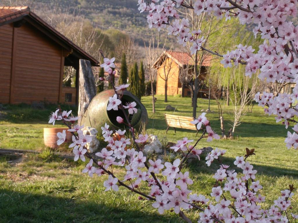 un árbol con flores rosas en un patio con un banco en Apartamentos Rurales El Rincón del Jerte, en Rebollar