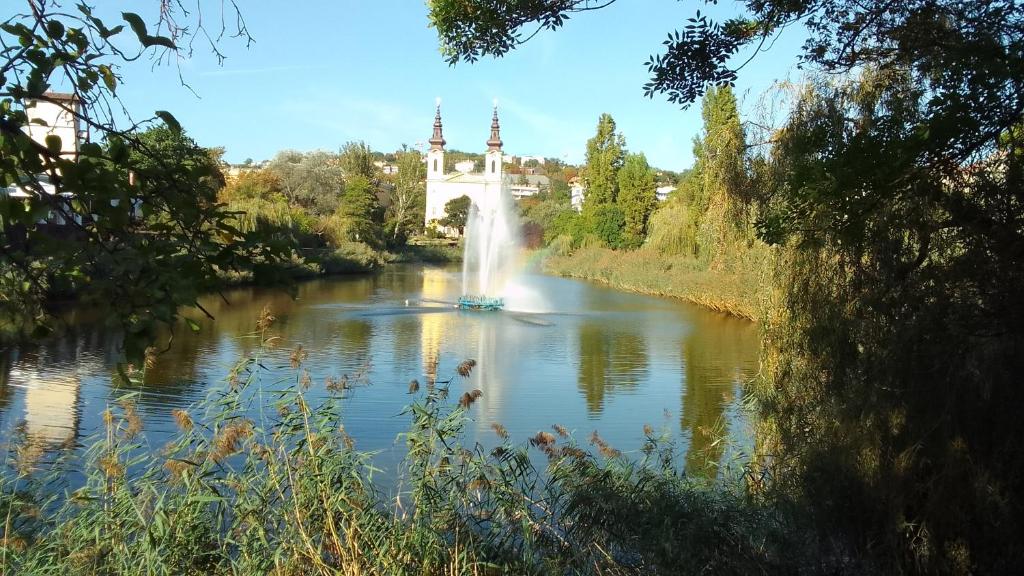 een brug over een rivier met een fontein bij Parkside Large Modern Garden View Apartment in Boedapest