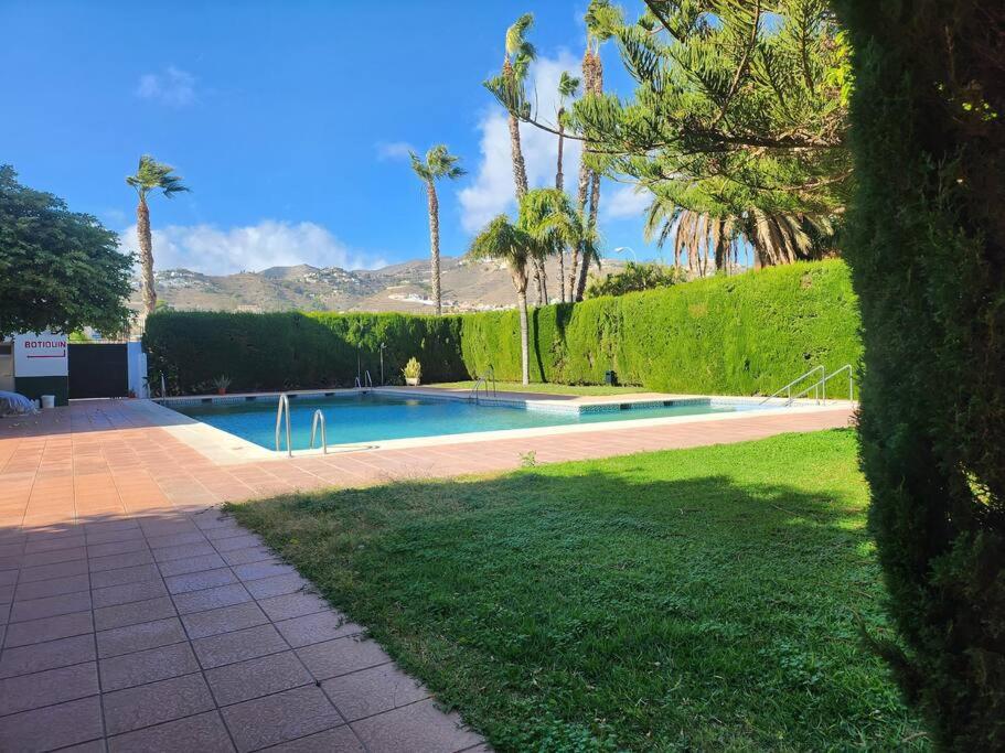 - une piscine dans une cour avec des palmiers dans l'établissement Minimal apartment costa tropical, à Almuñécar