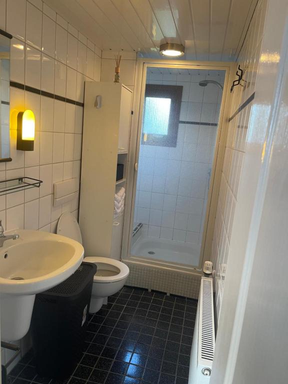 Koupelna v ubytování Chalet Makkum V10
