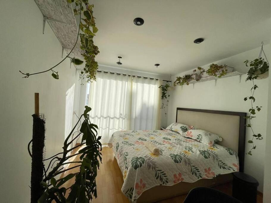 a bedroom with a bed and a window with plants at Big apartment near historical center in Arequipa