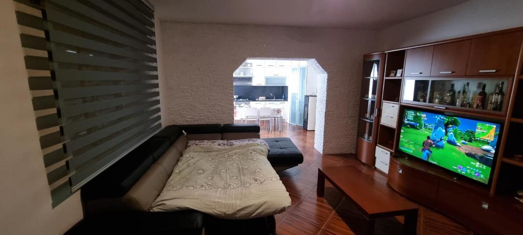 TV a/nebo společenská místnost v ubytování B&B Stella Irpina