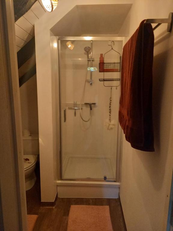 uma casa de banho com um chuveiro e uma porta de vidro em Viata Naturala Green Life em Gălăşeni
