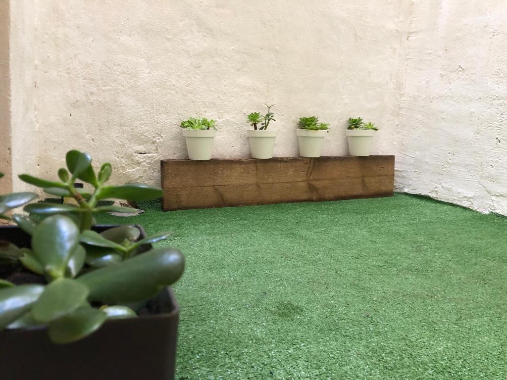 Zahrada ubytování LOFT 55 m Nuevo, estudio con techo alto en Alicante Centro