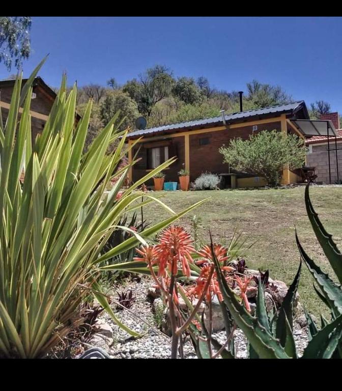 Palmares al cerro - Bungalow