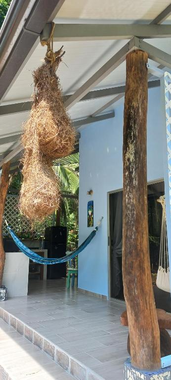 Fotografie z fotogalerie ubytování Casa Katharina v destinaci Cahuita